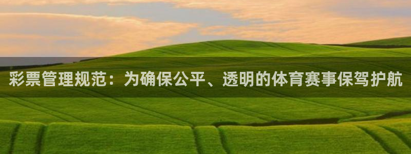 必一体育bsport