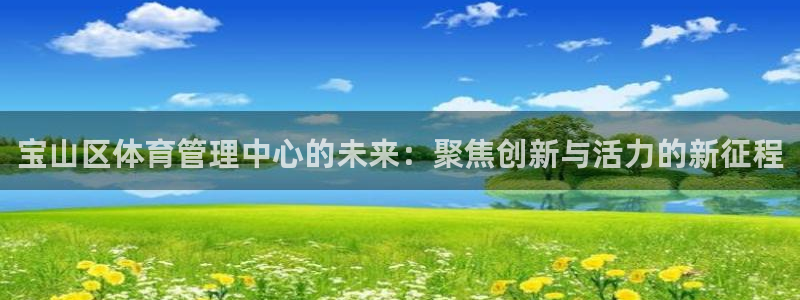 必一体育app下载装