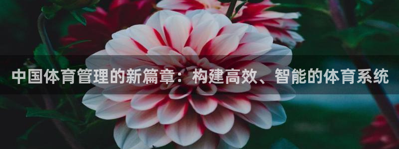 必一体育官方入口：中