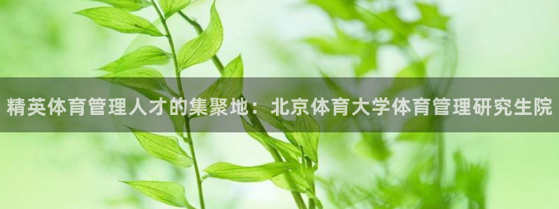 必一体育登录入口AP