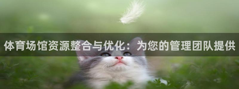 必一运动bsport
