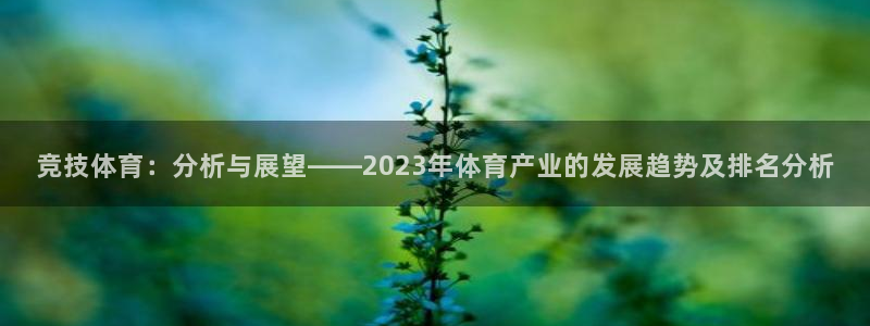 必一体育app官方正