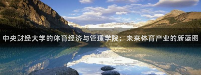 氵必一一厂一：中央财经大学的体育经济与管理学院：未来体育产业