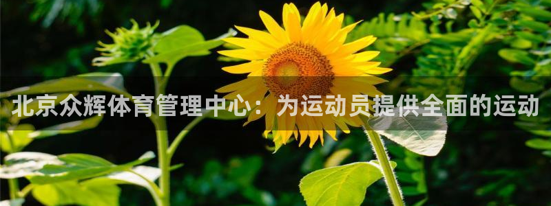必一体育官网入口：北