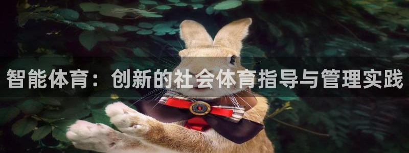 必一体育sport：