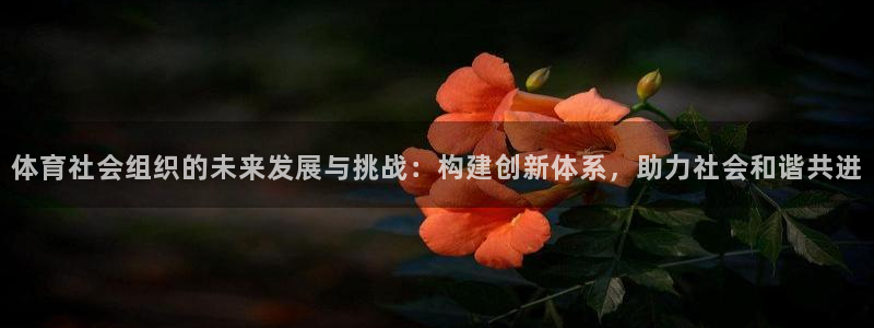 必一体育app平台下载：体育社会组织的未来发展与挑战：构建创