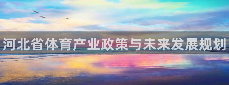 必一体育sport装机吧：河北省体育产业政策与未来发展规划