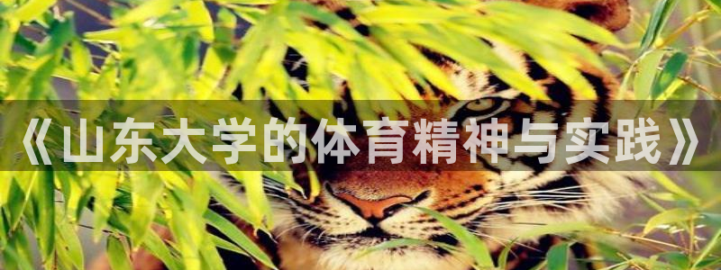 必一运动官网：《山东