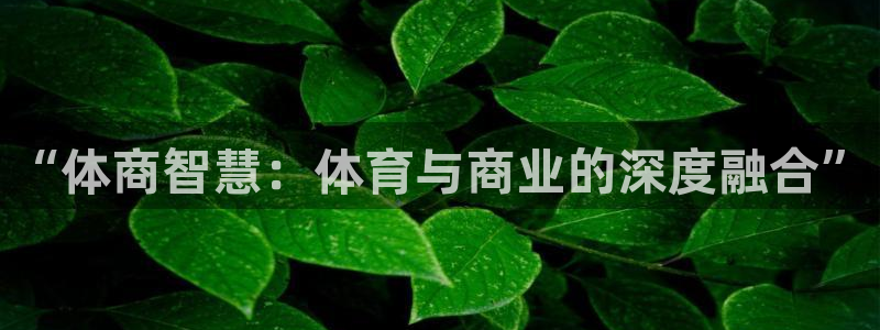 必一运动官网装机吧：“体商智慧：体育与商业的深度融合”