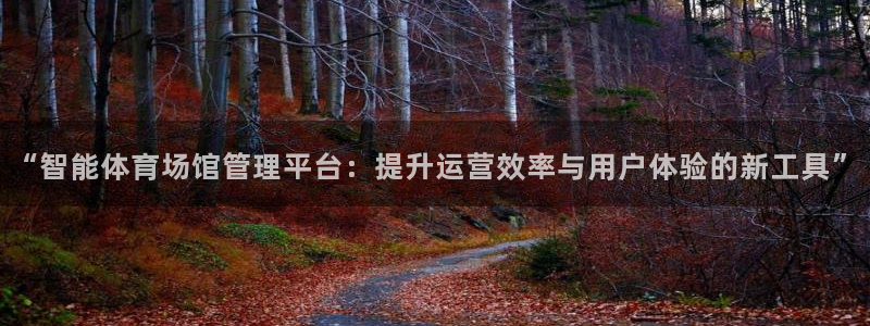 必一体育周公：“智能体育场馆管理平台：提升运营效率与用户体验