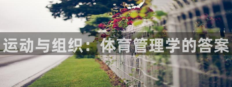 必一体育服下载最新版