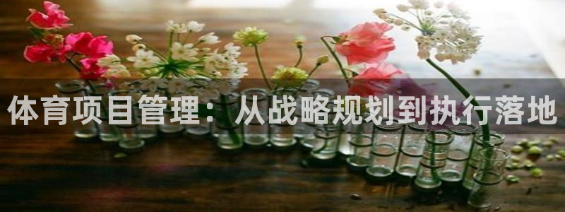 必一体育运动平台官网