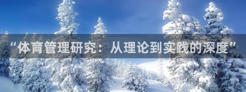 必一体育是啥：“体育管理研究：从理论到实践的深度”