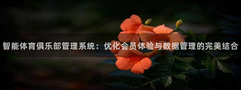 必一体育app官方：