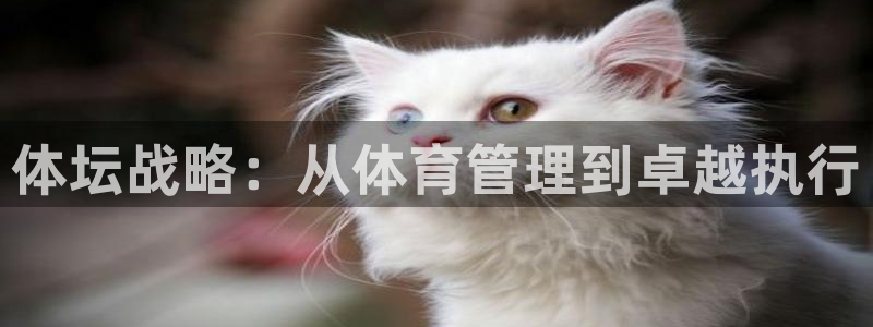 必一运动体育官网下载