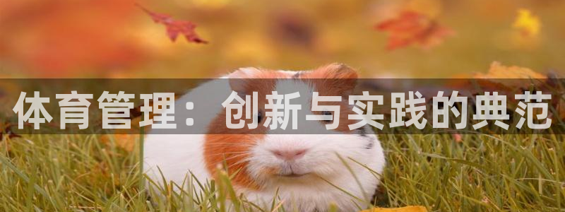 必一运动sport网页版：体育管理：创新与实践的典范