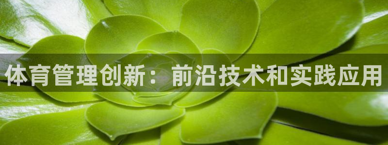 必一体育bsport