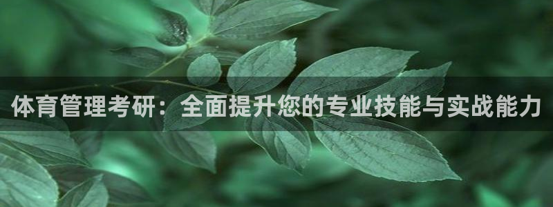 必一体育在线入口：体育管理考研：全面提升您的专业技能与实战能