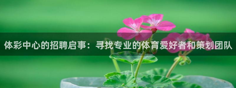 必一体育官方入口：体